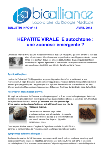 HEPATITE VIRALE E autochtone : une zoonose