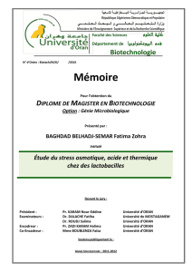 Mémoire - Université d`Oran 1 Ahmed Ben Bella
