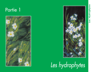 Les hydrophytes - Gt-ibma