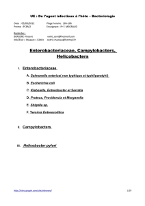 Enterobacteriaceae, Campylobacters, Helicobacters - Fichier