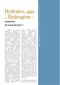 Hydrates de gaz et Hydrogène : ressources de la mer