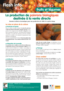 Flash Poivrons VD - Chambre Régionale d`agriculture Languedoc