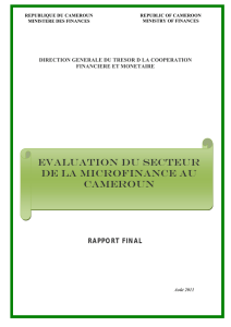 Évaluation du secteur de la microfinance au Cameroun
