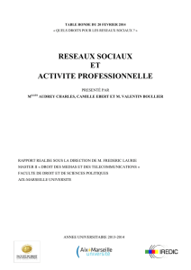 Les réseaux sociaux et l`activité professionnelle - Aix