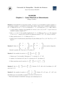 HLMA206 Chapitre 1 : Calcul Matriciel et Déterminants