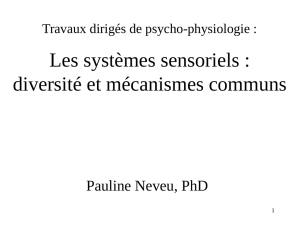 Les systèmes sensoriels