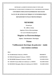 MEMOIRE Magister en Electrotechnique Thème