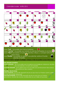 Calendrier lunaire AVRIL 2015 Jours "fruit "