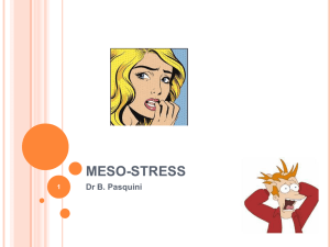 MESO-STRESS