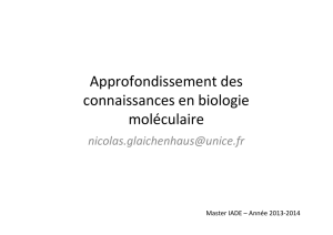 Microsoft PowerPoint - UE 2.2 Biologie mol\351culaire et cellulaire.ppt