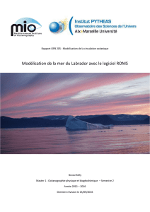Modélisation de la mer du Labrador avec le logiciel ROMS