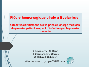 Fièvre hémorragique virale à Ebolavirus