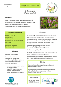 Les plantes couvre-sol - Opération zéro pesticide en Limousin