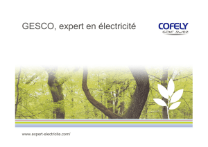 Agence Paris Gesco - expert en électricité