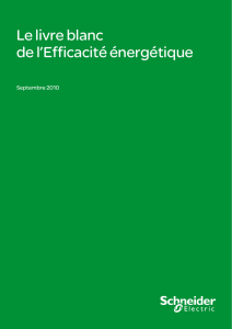 Le livre blanc de l`Efficacité énergétique