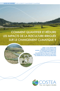 comment quantifier et réduire les impacts de la riziculture