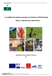 La cueillette des plantes sauvages en Pyrénées et Midi