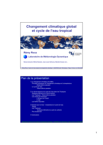 Changement climatique global et cycle de l`eau tropical - GIP