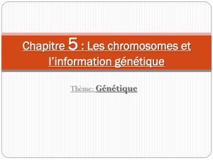 3eme diapo chapitre 5 chromosomes et information genetique