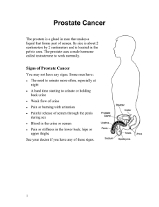Prostate Cancer - Health Information Translations