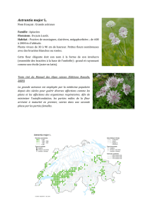 Calendrier de floraison - No.5 - Flore-Alpe