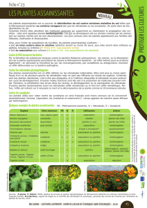 Les pLantes assainissantes