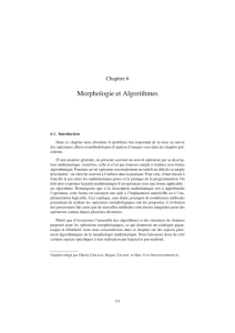 Morphologie et Algorithmes