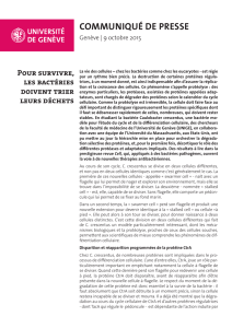 communiqué de presse - Université de Genève