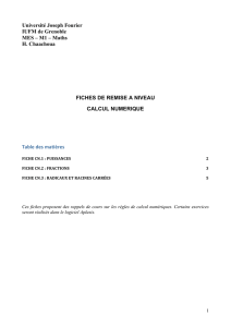 Université Joseph Fourier IUFM de Grenoble MES
