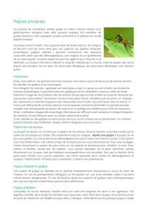 Pharmacie de L`Église à PARIS - Fiche conseil : Piqûres d`insectes