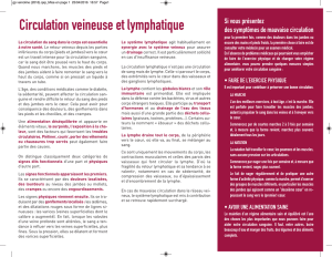 Circulation veineuse et lymphatique