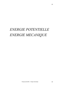 VI. Energie potentielle et mécanique