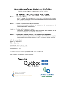 le marketing pour les pme/obnl - Ville de Lebel-sur