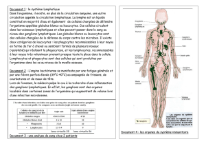 Document 4 : les organes du système immunitaire