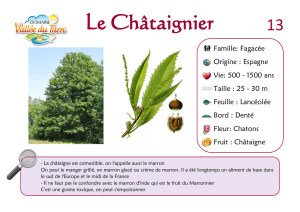Liste de la flore présente sur le site