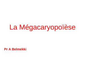 La Mégacaryopoïèse - Fichier