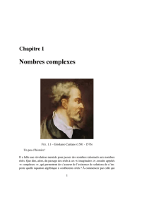 Chap. 1 : Nombres complexes Fichier