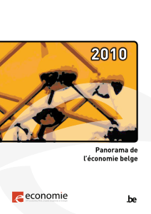 Panorama de l`économie belge 2010