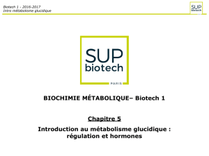 Biotech 1 - 2016-2017 Intro métabolisme glucidique