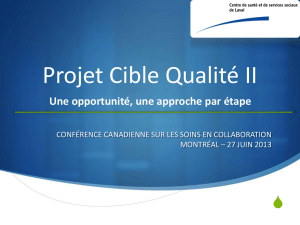Projet Cible qualité II - Collaborative Mental Health Care