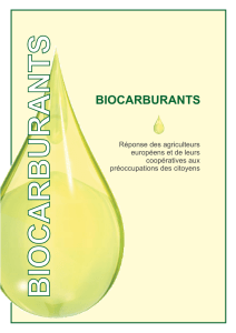 biocarburants - Copa