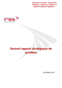 Second rapport stratégique de synthèse