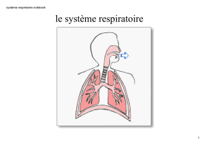 système respiratoire.notebook