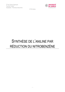 synthèse de l`aniline par réduction du nitrobenzène - ASSO-ETUD