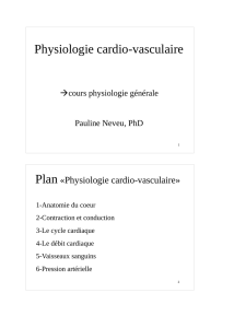Physiologie cardio