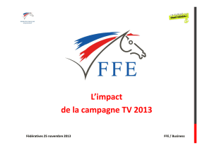 Fédératives 2013 DLamnbert-Publicité-PPT