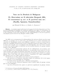 Notes sur les Brookesia de Madagascar IX. Observations sur B