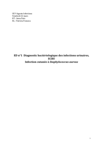 ED n°1 Diagnostic bactériologique des infections urinaires, ECBU