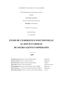etude de l`emergence fonctionnelle au sein d`un reseau de neuro