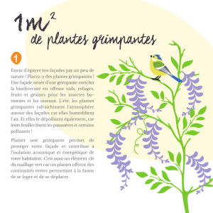 Plantes grimpantes - 1m² pour la nature